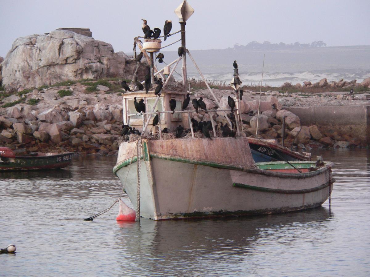 Lamberts Bay Hotel Lambert's Bay Luaran gambar